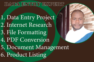do data entry, web research, copy paste and file conversions