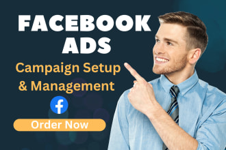 setup and manage facebook and instagram ad campaigns for lead and sales