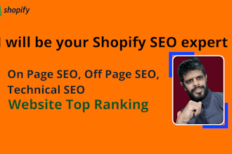 be your shopify seo expert and fix onsite all issues