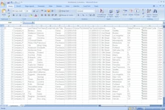 enter data into an Excel spreadsheet
