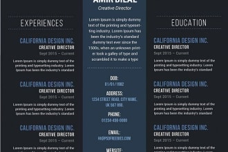 professional resume, CV, cover letter templates