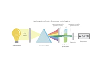make scientific diagrams and schemes
