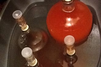 teach you how to brew at home