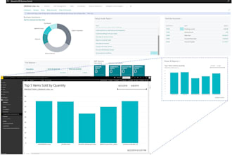 perform all customizations related to business central and navision