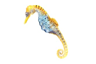paint watecolors in traditional style