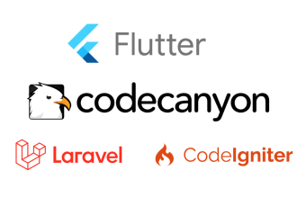 install, customize, reskin flutter codecanyon app