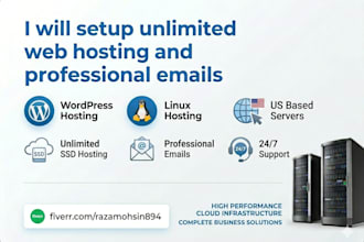 setup unlimited web hosting and professional emails