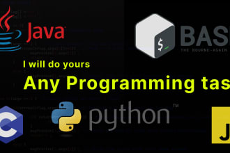 do your python, java, c, java script bash programming works