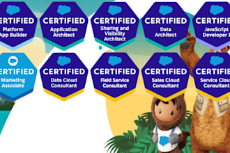 be your salesforce buddy as a developer, consultant, or architect