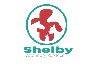 design awesome veterinary clinic logo within 14 hours