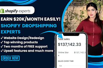 setup profitable shopify dropshipping store or shopify website