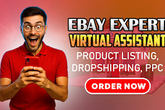 do ebay virtual assistant and account manager, ebay VA