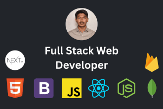 build professional websites as mern stack developer react node