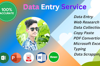 do professional data entry copy past web research expert