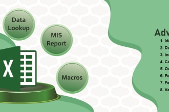 be your personal advanced excel data analyst