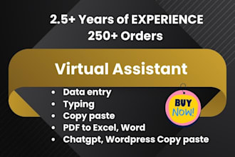 do data entry, copy paste, web research, typing