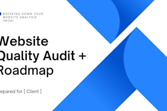do a website audit for psychedelic businesses