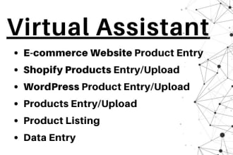 be your full time personal virtual assistant