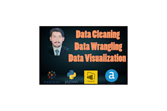 do data cleaning, wrangling, and visualization using tableau, power bi, python