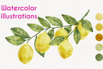 draw watercolor plant, flower, fruit or vegetable illustration