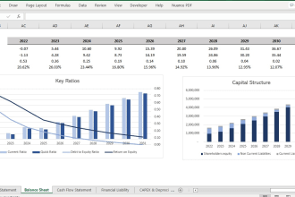 provide cash flow projection, financial model and valuation