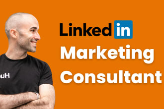 be your linkedin ads campaign consultant