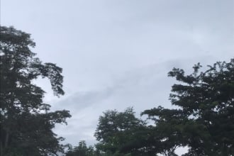 assist you with anything related to ghana