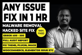 fix wordpress errors or bugs or issues quickly in 1 hour