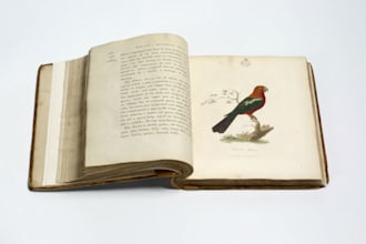 write a short story of 500 words