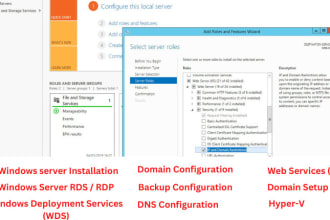 support, configure windows server, active directory and dns