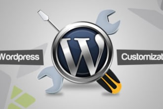 design website and customize it, and fix wordpress errors
