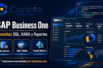 asesorar en sap business one, soporte, reportes e implementación