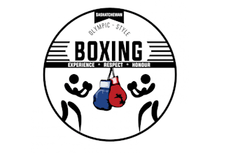 design high quality boxing logo in high definition