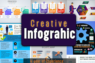 design professional high quality  business , flowchart  and diagram infographic