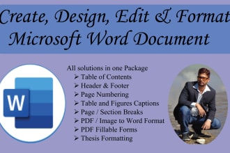 redesign, retype your microsoft word document or PDF files