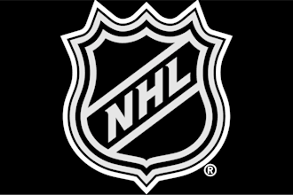 write nhl articles or scripts for you