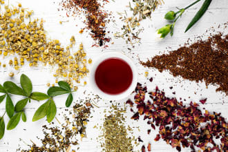 write articles on herbal tea