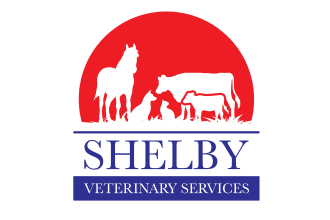 design an awesome veterinary clinic logo within 14 hours