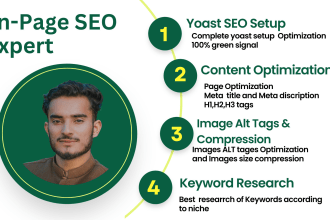 do on page seo optimization service of wordpress site