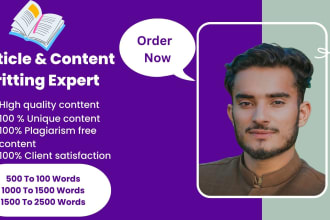 be your SEO website content writer, article and blog writer