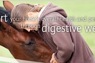 analysis of your horse feeding plan
