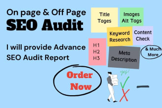 do expert SEO audit report for your website