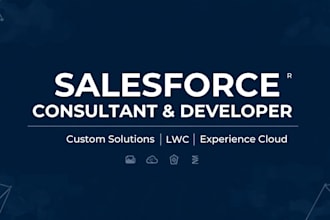 be your expert salesforce consultant and developer for custom solutions