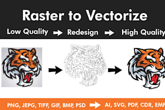 redesign, recreate, vectorize, edit and modify your logo