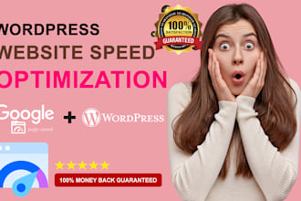 speed up wordpress website for google page speed insights