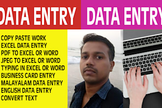 data entry, copy paste and excel data entry work