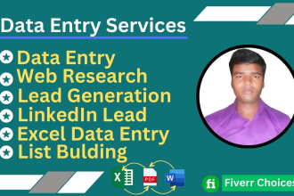 do accurate excel data entry, web research, web scraping, and copy paste
