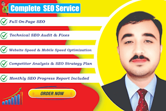 do onpage SEO to rank your website on google by organic traffic