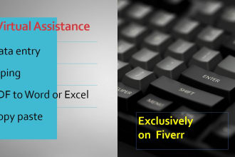 data entry,  ,convert pdf to word or excel, manual data typing