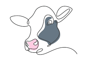 draw custom animal portrait in one line style